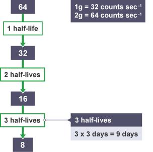 Question two If a 1g sample of a radioisotope with a half-life of 3 days has an activity of 32 counts sec -1, how long would it take for the activity of a 2g sample to fall to 8 counts sec -1?