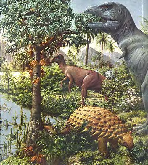During the Permian (~250-300 million years ago), as environments became warmer and dryer, the conifers and cycads flourished