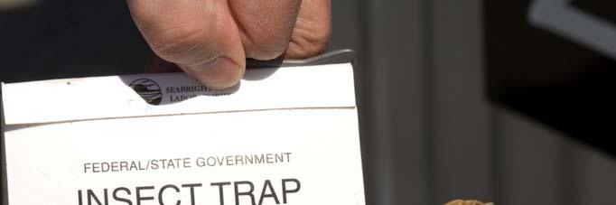 Trap Monitoring