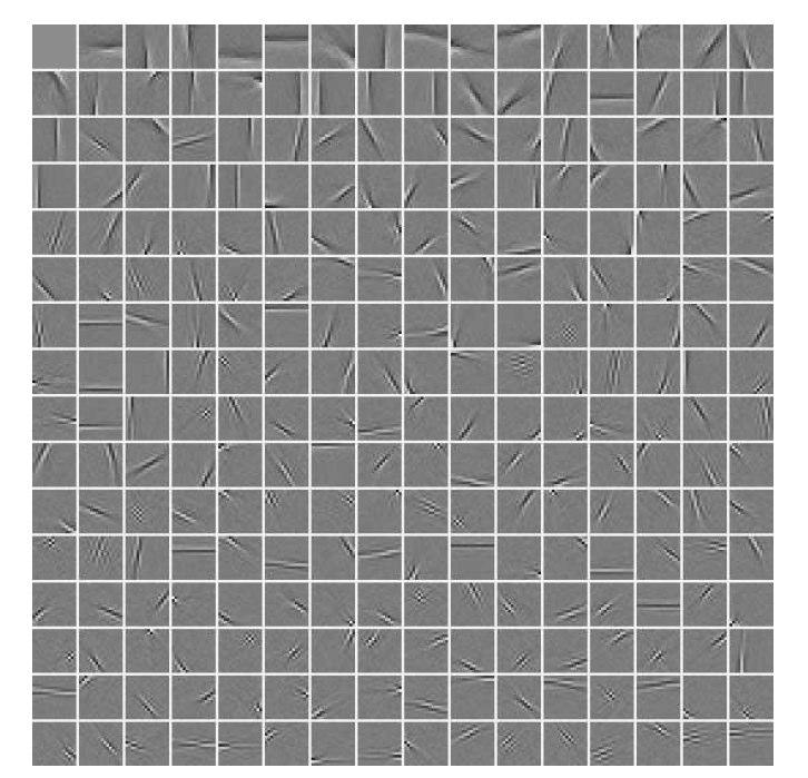 is of no significance here: row by row scanning was used to turn a square image window into a vector of pixel values. The independent components of such image windows are represented in Fig. 4.