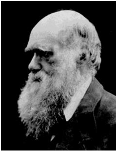 Darwin's theory of natural selection focused mainly on the level of the Individual. "... individual differences in the curvature or length of the proboscis.