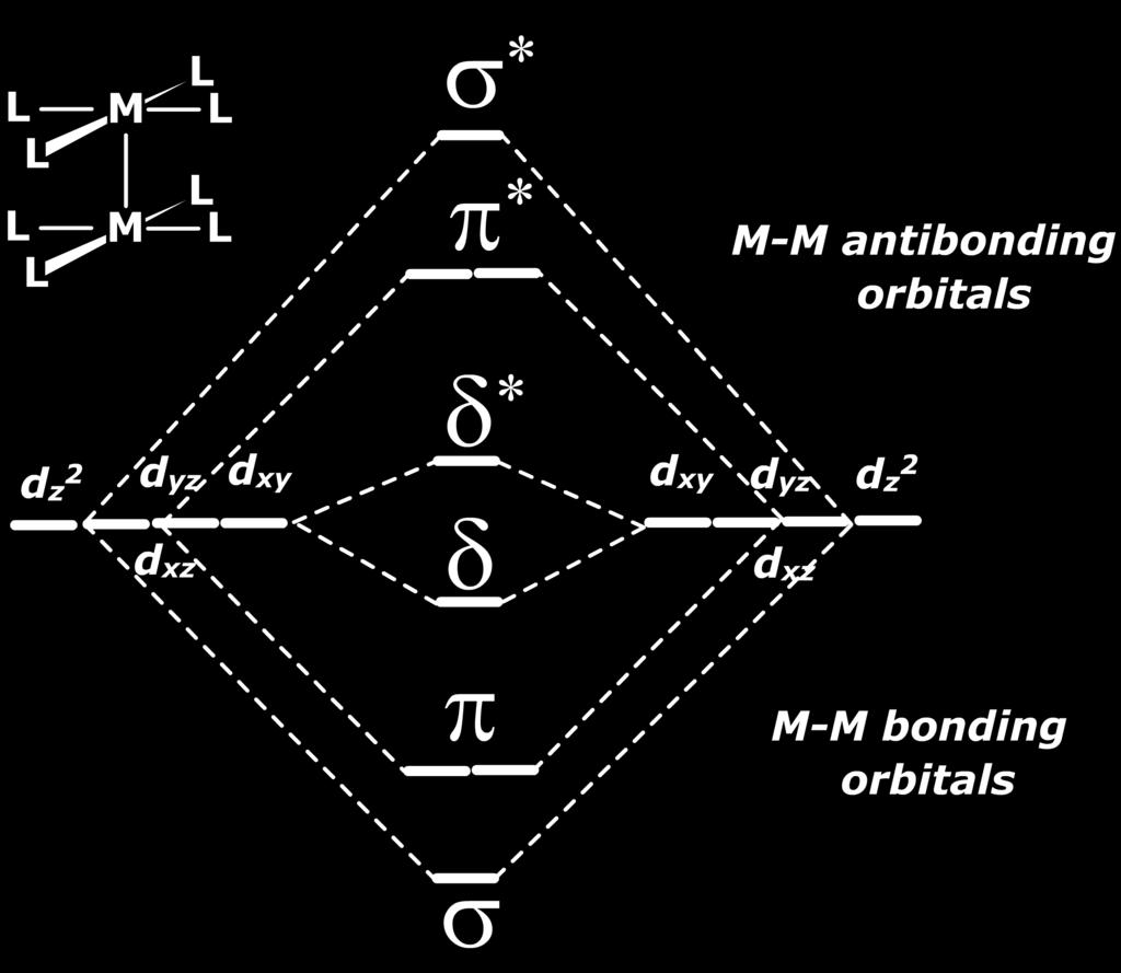 by overlap of two d yz or d xz orbitals.