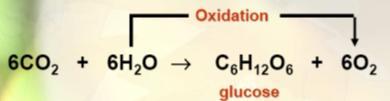 REDOX REACTION Redox Reaction the of one or more from one reactant to another Two Types o is the of e- o is the of e-