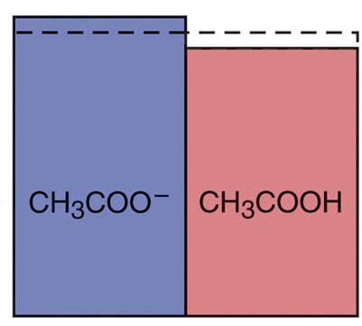 acid Buffer after addition of OH - H 3 O + OH - H 2 O +