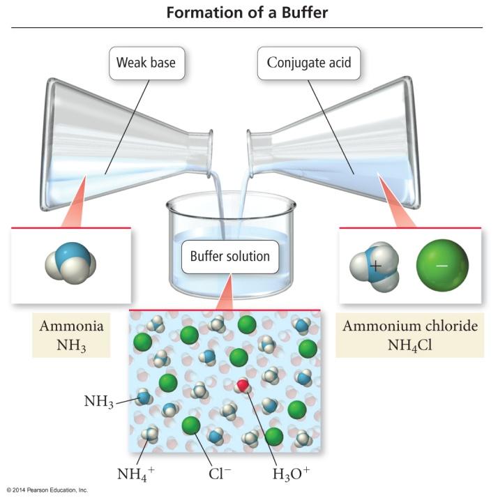 Basic Buffers B: (aq) + H 2 O (l) H:B + (aq) + OH (aq) Buffers can also be made by mixing a weak
