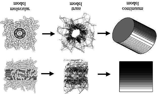 Figure 2. Equivalent-continuum modeling of nanotube and local polymer molecules.