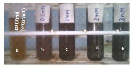 Fig.1: visual appearance of test tubes containing the Brucea anti dysenterica ex tracts and AgNO 3 solution after 48 hours In the reacting samples for different AgNO 3 concentrations (0.