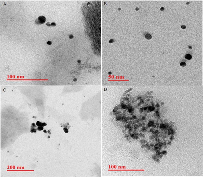 Synthesis and characterization of silver nanoparticles via green route bance during synthesis of silver nanoparticles at different time interval.