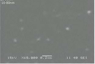 SEM Analysis Scanning electron microscopy analysis was carried out to understand the topology and the size of the silver nanoparticles, which showed the synthesis of Polydisperse spherical silver