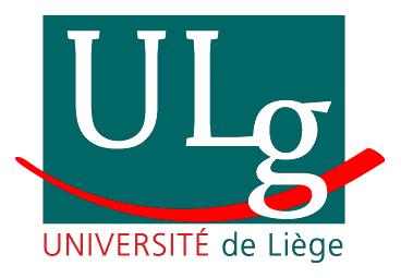 J Nihoul, Geo Hydrodynamics and Environment Research, GHER, Liège University, Belgium. - *D.Sirjacobs@ulg.