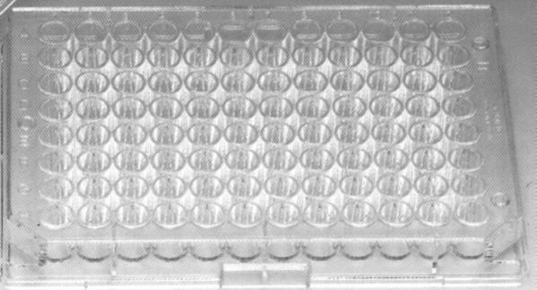 TISSUE CULTURE: quantitation of cell proliferation 96 well plate Allows comparison of many culture conditions. Samples often in triplicate.