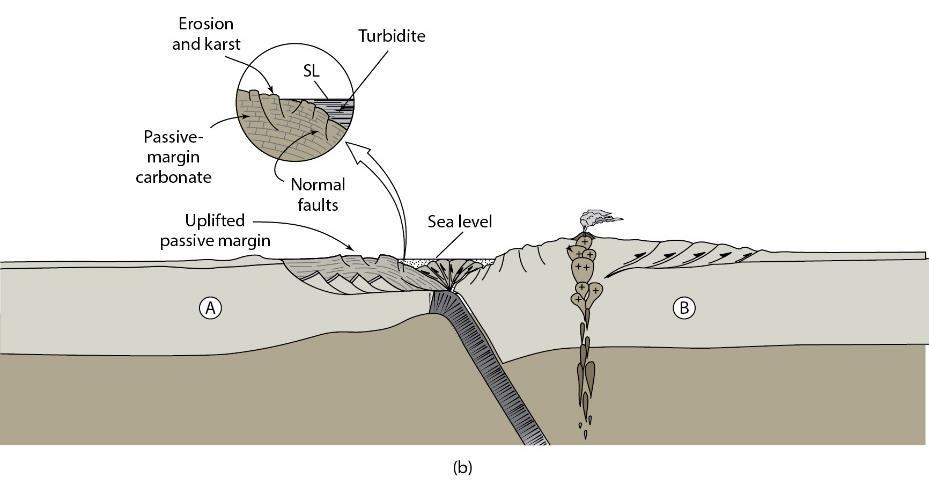 Stages of Collision 2: Abortive Subduction and Suturing During initial collision, passive margin is uplifted, and an unconformity develops.