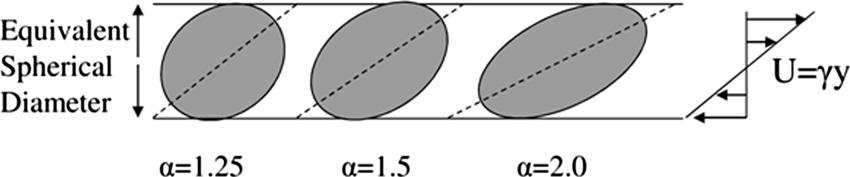 013306-8 Charles S. Campbell Phys. Fluids 23, 013306 2011 FIG. 12. A diagram showing the preferred orientations of ellipsoids LtoR =1.25 39, =1.50 34, and =2.0 27.
