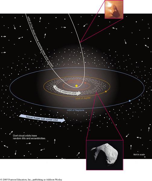 The nebular theory predicted the existence of the Kuiper belt 40 years before it was discovered!