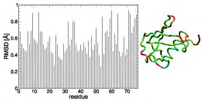 NMR structures aligned together to see flexibility MD simulation The