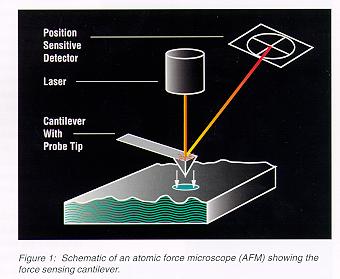 Forces During Approach Tip-Surface Interaction Interatomic forces vs.