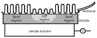 In constant-force mode,the speed of scanning is limited by the response time of the feedback circuit, but the total force exerted on the sample by the tip is well controlled.