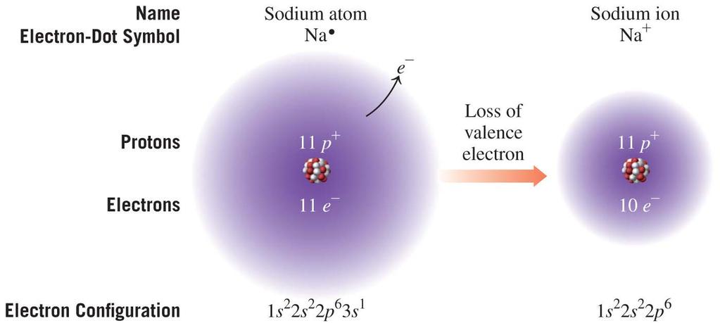 Positive Ions: Loss of Electrons A sodium