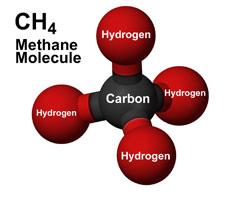Contain carbon and hydrogen.