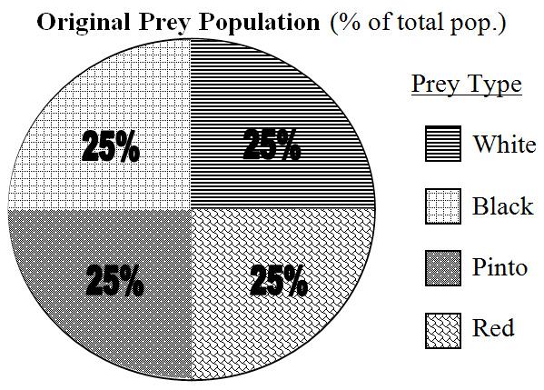 The first pair of pie charts represent the data from the original predator and prey populations.