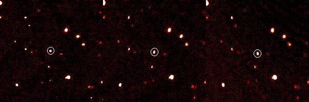 Kuiper Belt Orbits Red Plutinos Blue CKBO