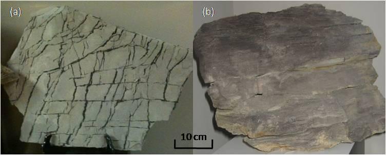 source rock (Figure 3a), as well as a major quartz component which allows it to be fractured.