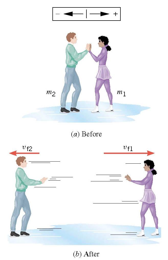 Example Ice Skaters Starting from rest, two skaters push off against each other on ice where friction is negligible.