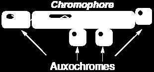 17.11 UV-Vis Spectroscopy The group of atoms responsible for absorbing UV-Vis light is known as the chromophore.