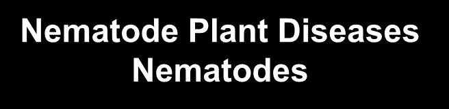 Nematode Plant