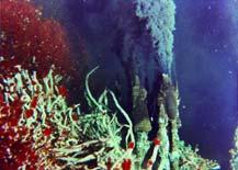 Hot fluid rises. 7. Fluid is ejected into cold surrounding ocean and minerals (sulfides) precipitate rapidly. The event looks like smoke and builds a chimney of sorts. www.divediscover.whoi.