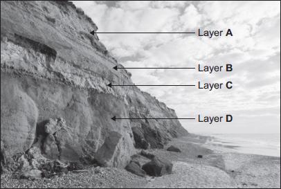 We do not have a complete fossil record from the beginning of life on Earth. Suggest two reasons why. (b) The sea erodes cliffs at the coast. Some cliffs have layers of rocks.