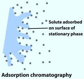 The equilibration between the mobile and stationary phase accounts for the separation of different solutes.