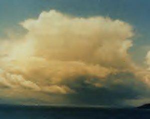 Thunderstorms Requires a mature cumulonimbus cloud Signs a.