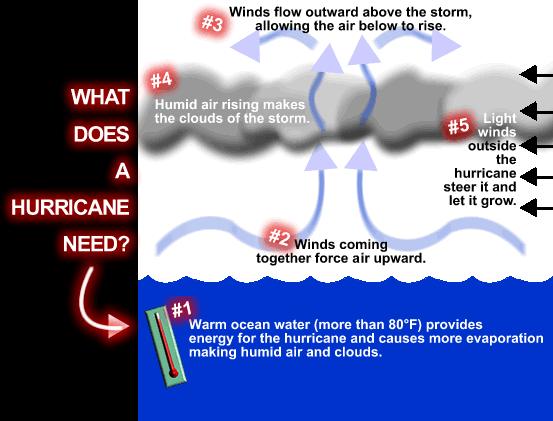 How do hurricanes form? Hurricanes form over warm ocean water of 80 F or warmer. The atmosphere must cool off very quickly the higher you go.