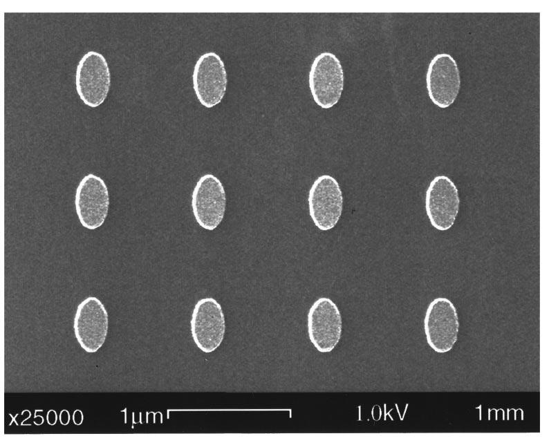 J. Appl. Phys., Vol. 85, No. 9, 1 May 1999 C. Pike and A. Fernandez 6669 FIG. 1. A scanning electron micrograph of a portion of the Co dot array.