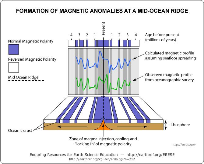 Oceanic Magnetic Anomalies Measurements of magnetism in the ocean basin revealed that