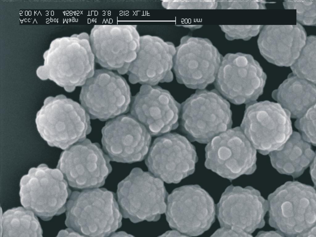 = 1.33, and the mass density of ns cobalt iron oxide, ρcof = 4.91 g/ml [38]. The experimentally obtained dn/dc = a c b d Figure 7.3. SEM and TEM micrographs showing the particles from SiCoF (a-b) and SiMag (c-d).
