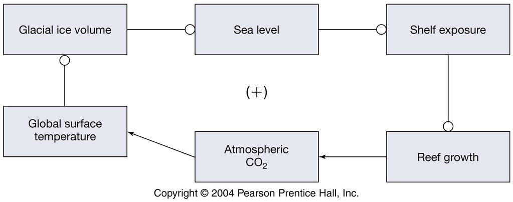 The Coral Reef Hypothesis During a glacial period, sea-level falls ~100m exposing coral reefs.
