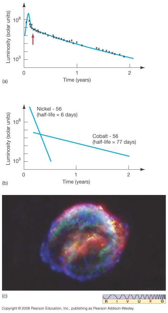 21.4 The Formation of the Elements This theory of formation of new elements in supernova explosions produces a light curve that agrees quite well with observed curves (right).