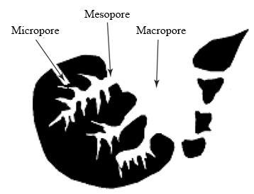 14 is large and consists of macropores (>50 nm), mesopores (2 50 nm), and micropores (<2 nm). The dominant surface area of AC is on the scale of micropores [2].