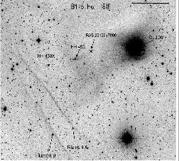 38 within the dark cloud. By an imaging and spectroscopic study Bally & Reipurth (2001) discovered a Herbig-Haro object, HH 450, emerging from IRAS 22129+7000.