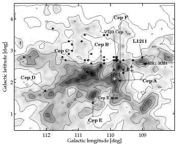 Sargent (1977, 1979) mapped the vicinity of Cep OB3 in the J=1-0 transition of 12 CO, and found a 20 pc 60 pc molecular cloud complex at the average radial velocity of 10 km s 1, close to the