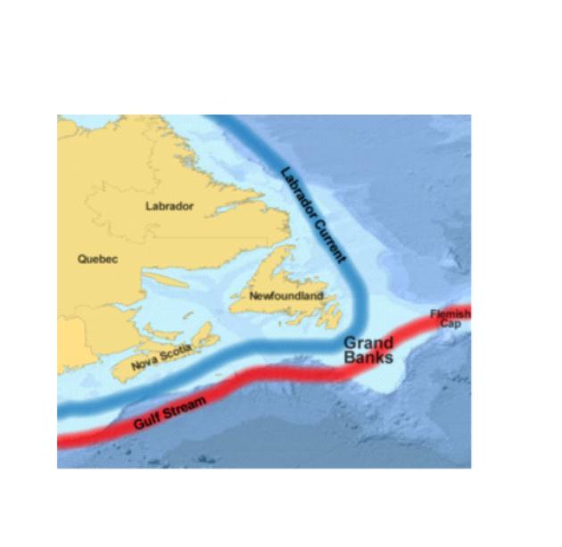 Section 2.2 Ocean Currents What is a current? A large amount of ocean water that moves in a particular and unchanging direction.