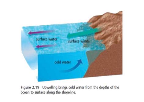 2. SALINITY Seawater is less salty at the mouths of large rivers due to the fresh water entering the ocean. Fresh water also enters where glaciers and icebergs melt and areas of high precipitation.