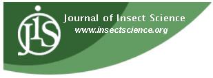 Biology and life history of Balcha indica, an ectoparasitoid attacking the emerald ash borer, Agrilus planipennis, in North America Jian J. Duan a *, Philip B. Taylor b, and Roger W.