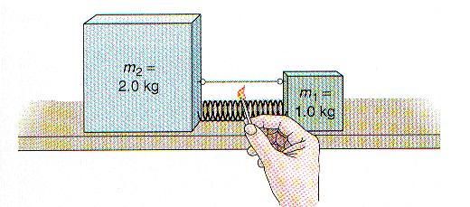 A 1.0 kg mass is connected by a string and a spring to a 2.