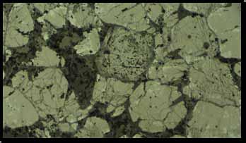 mineralisation is not associated with magnetite Detrital