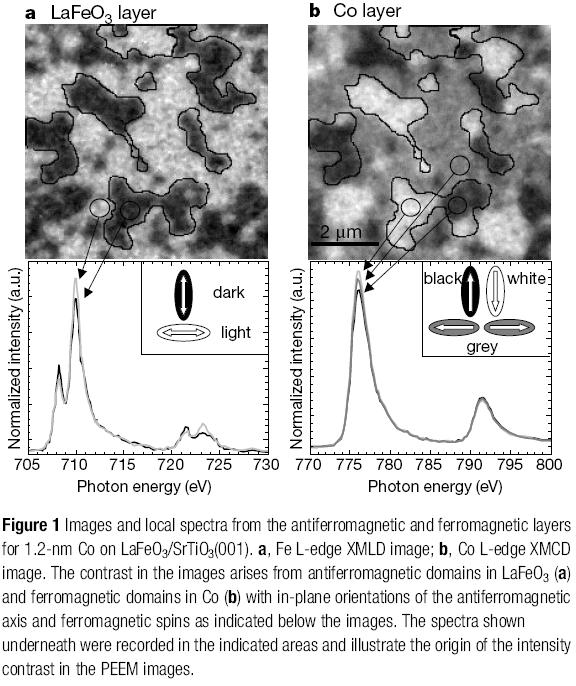 AFM domains and bias exchange XMLD XMCD PEEM F. Nolting et al. Nature 405, 767 (000) Photoemission Electron microscopy (PEEM) utilizes electron emission to generate image contrast.