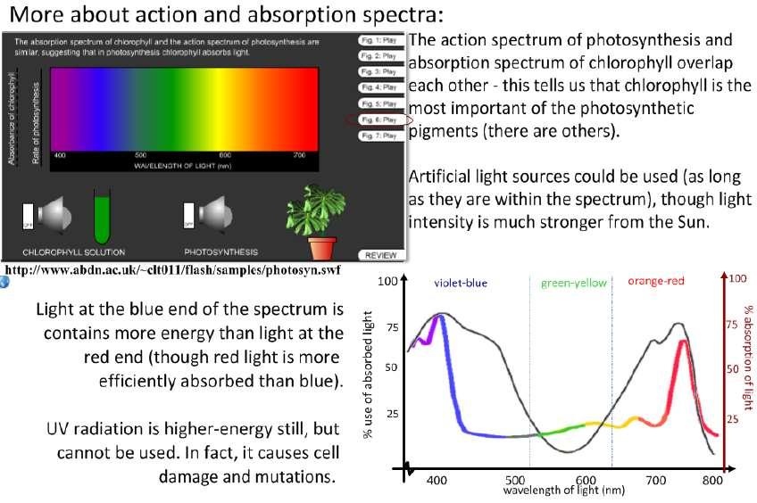 2.9.10 Draw an absorption spectrum for