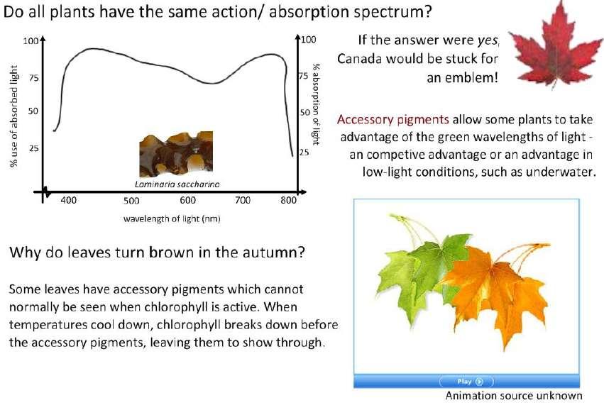 2.9.10 Draw an absorption spectrum for